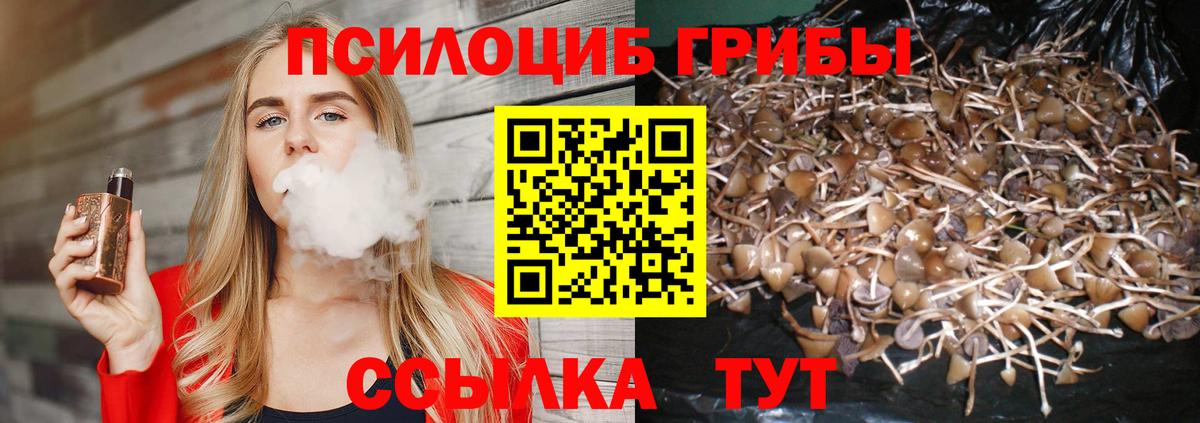 Галлюциногенные грибы мицелий Рассказово