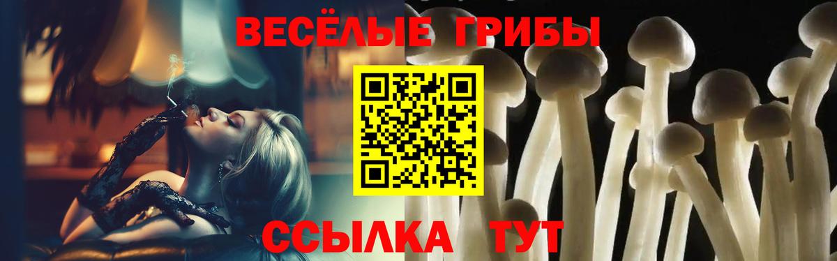 Рассказово  Галлюциногенные грибы Magic Shrooms  Галлюциногенные грибы Cubensis  Вход с VPN 
